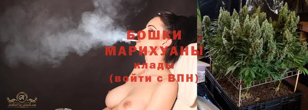 молекула духа Бугульма