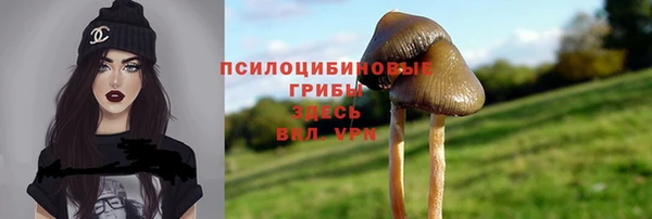 молекула духа Бугульма