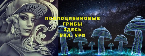 молекула духа Бугульма