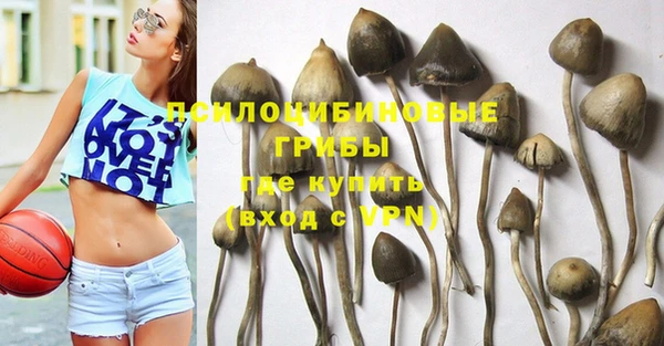 молекула духа Бугульма