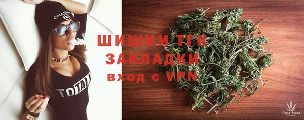 сатива Волоколамск